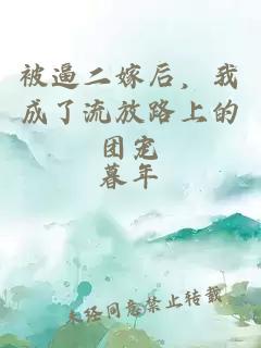 被逼二嫁后，我成了流放路上的團寵